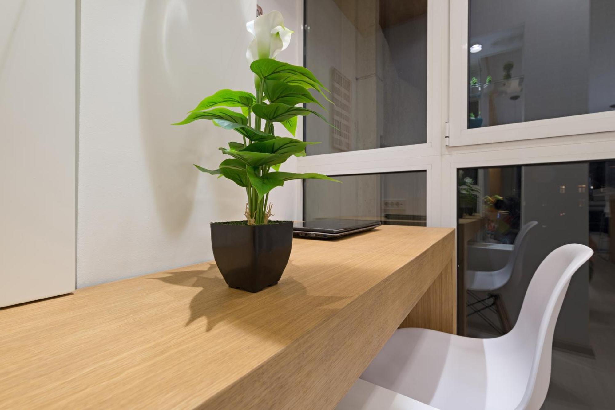 Vivio Luxury Apartment Belgrad Exterior foto